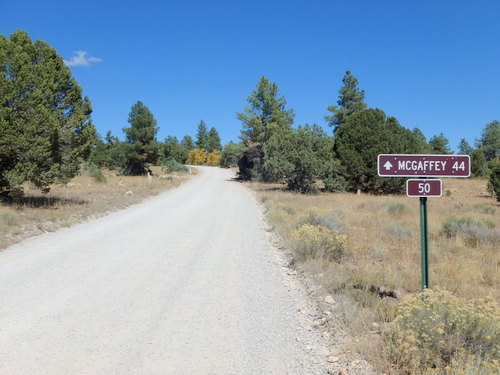 GDMBR:  Our first roadway sign.